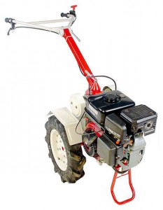 Kjøpe walk-bak traktoren ЗиД Фаворит МБ-3 på nett, Bilde og kjennetegn