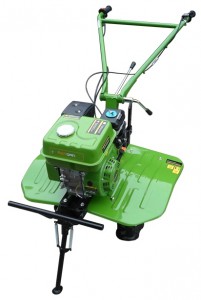 Købe walk-hjulet traktor Протон МБ-80/1 online, Foto og Egenskaber