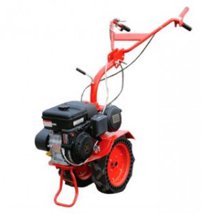 Købe walk-hjulet traktor Салют 5БС-1 online, Foto og Egenskaber
