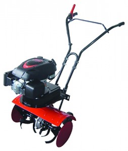 Buy cultivator SunGarden T 250 B 6.0 online, Photo and Characteristics