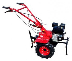 Købe walk-hjulet traktor AgroMotor РУСЛАН GX-200 online, Foto og Egenskaber