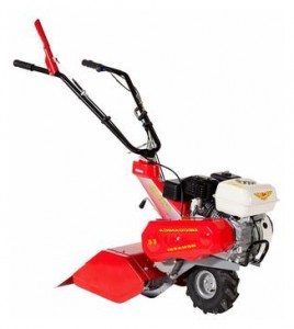 Buy cultivator Meccanica Benassi RT 401 online, Photo and Characteristics