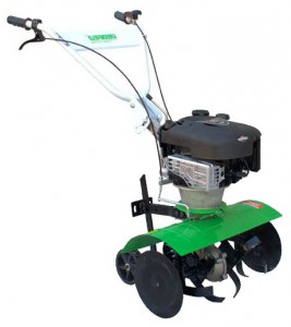 Buy cultivator Green Field GP 6.0 (BS) online, Photo and Characteristics