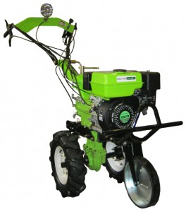 Kjøpe walk-bak traktoren PIRAN MT1000 på nett, Bilde og kjennetegn