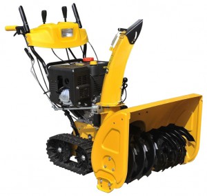 Buy snowblower Workmaster WST 1170 TE online, Photo and Characteristics