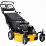 Buy self-propelled lawn mower CRAFTSMAN 88776 rear-wheel drive petrol online