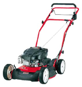 Buy self-propelled lawn mower SABO JS 63 online, Photo and Characteristics