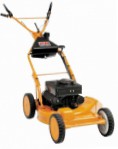 Buy self-propelled lawn mower AS-Motor AS 53 B5 petrol online
