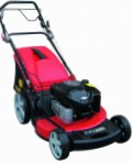 Buy self-propelled lawn mower DDE WLZ21H petrol rear-wheel drive online
