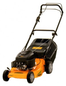 Buy lawn mower ALPINA FL 46 LMG online, Photo and Characteristics