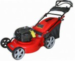 Buy self-propelled lawn mower DDE WYZ20H2 petrol rear-wheel drive online