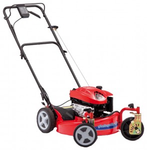 Buy self-propelled lawn mower Simplicity EYPV21675SW online, Photo and Characteristics