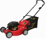 Buy self-propelled lawn mower DDE WYZ18-WD65 petrol rear-wheel drive online