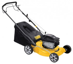 Buy lawn mower Powerplus POWXG6020 online, Photo and Characteristics