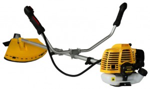 Buy trimmer Champion T256 online, Photo and Characteristics