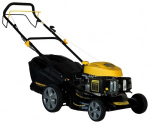 Buy self-propelled lawn mower Champion LM5131 online, Photo and Characteristics