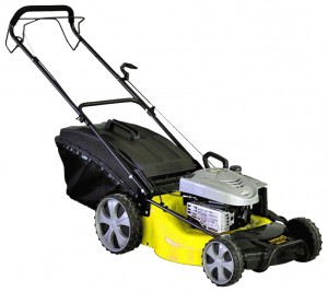 Buy self-propelled lawn mower Champion LM5345BS online, Photo and Characteristics