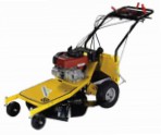 Buy self-propelled lawn mower Eurosystems Professionale 63 petrol rear-wheel drive online