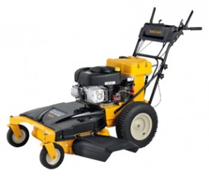 Buy self-propelled lawn mower Cub Cadet WCM 84 online, Photo and Characteristics