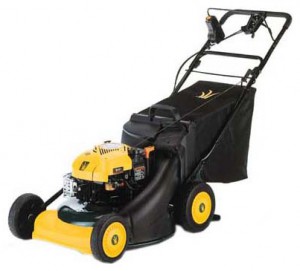 Buy self-propelled lawn mower Yard-Man YM 6021 SMS online, Photo and Characteristics
