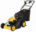 Buy self-propelled lawn mower Yard-Man YM 6021 SMS rear-wheel drive online