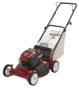 Buy lawn mower CRAFTSMAN 38895 online, Photo and Characteristics