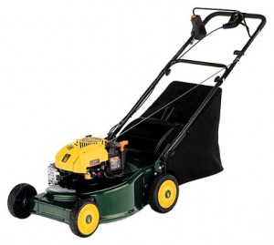 Buy self-propelled lawn mower Yard-Man YM 6018 SPS online, Photo and Characteristics