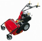 Buy self-propelled lawn mower Solo 526-75 petrol online