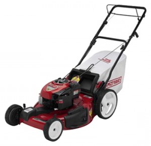 Buy self-propelled lawn mower CRAFTSMAN 37623 online, Photo and Characteristics