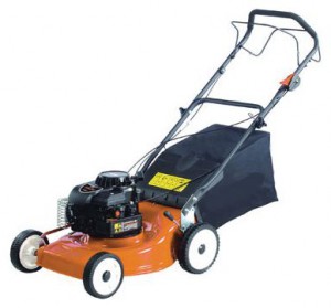 Buy lawn mower Watt Garden WLM-460BS online, Photo and Characteristics
