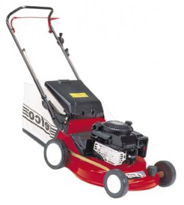 Buy self-propelled lawn mower EFCO AR 48 TBQ online, Photo and Characteristics