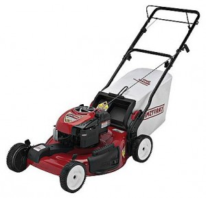 Buy self-propelled lawn mower CRAFTSMAN 37061 online, Photo and Characteristics