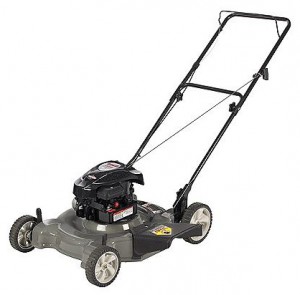 Buy lawn mower CRAFTSMAN 38510 online, Photo and Characteristics