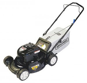 Buy lawn mower CRAFTSMAN 38909 online, Photo and Characteristics