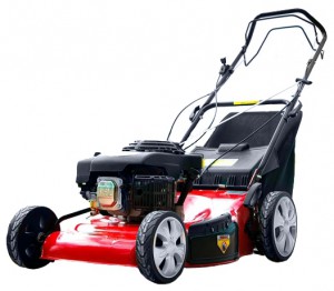 Buy self-propelled lawn mower Dich DCM 1669A online, Photo and Characteristics