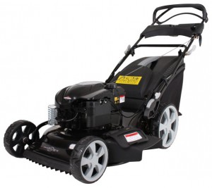 Buy lawn mower Texas WL 51 TR/W online, Photo and Characteristics