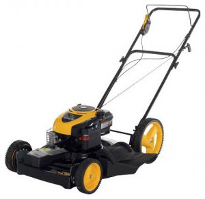 Satın almak kendinden hareketli çim biçme makinesi PARTNER 6556 SMD çevrimiçi, fotoğraf ve özellikleri
