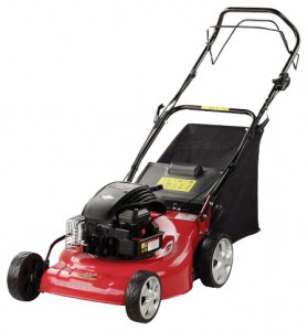 Buy lawn mower Dich DCM-1569 online, Photo and Characteristics
