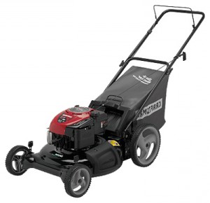 Buy lawn mower CRAFTSMAN 38845 online, Photo and Characteristics