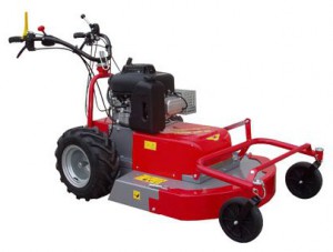 Buy self-propelled lawn mower Meccanica Benassi RF 700 Hydro online, Photo and Characteristics