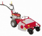 Buy self-propelled lawn mower Meccanica Benassi TR 50 online