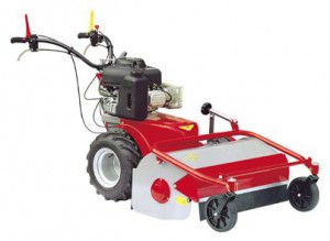 Buy self-propelled lawn mower Meccanica Benassi TR 80 online, Photo and Characteristics