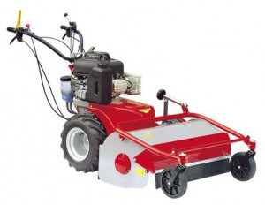 Buy self-propelled lawn mower Meccanica Benassi TR 80 Hydro online, Photo and Characteristics