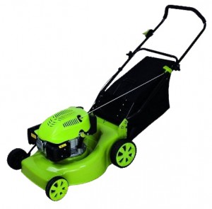 Buy self-propelled lawn mower Foresta LM-4G online, Photo and Characteristics