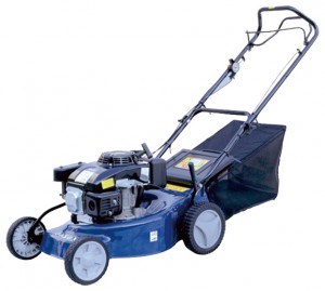 Buy self-propelled lawn mower Lifan XSZ46 online, Photo and Characteristics