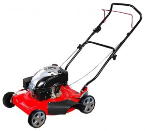 Buy lawn mower Warrior WR65485 online, Photo and Characteristics
