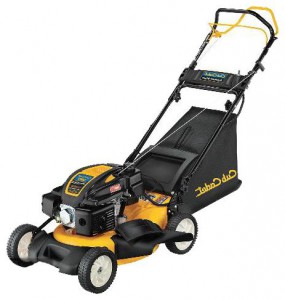 Satın almak kendinden hareketli çim biçme makinesi Cub Cadet CC 550 ES çevrimiçi, fotoğraf ve özellikleri