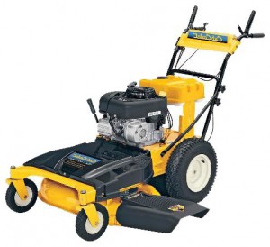 Satın almak kendinden hareketli çim biçme makinesi Cub Cadet CC 760 çevrimiçi, fotoğraf ve özellikleri