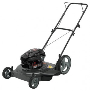 Buy lawn mower CRAFTSMAN 38514 online, Photo and Characteristics