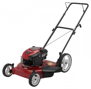 Buy lawn mower CRAFTSMAN 38519 online, Photo and Characteristics